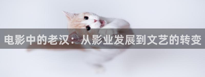木瓜影视城：电影中的老汉：从影业发展到文艺的转变