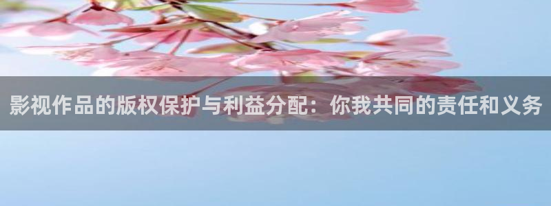 木瓜木瓜：影视作品的版权保护与利益分配：你我共同的责任和义务