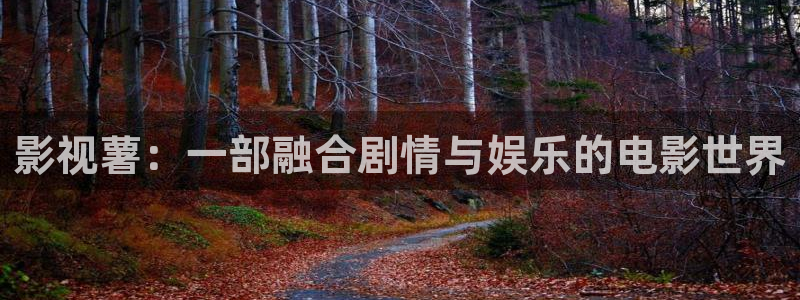 木瓜影视免费观看：影视薯：一部融合剧情与娱乐的电影世界