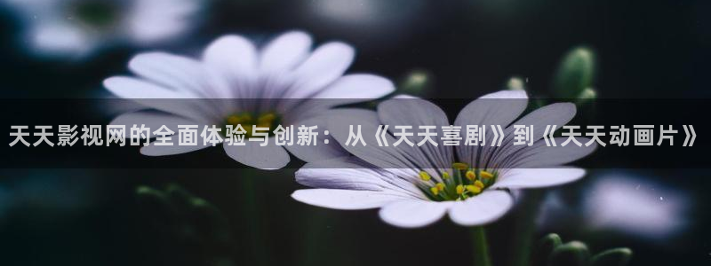 木瓜影院在线播放：天天影视网的全面体验与创新：从《天天喜剧》到《天天动画片》