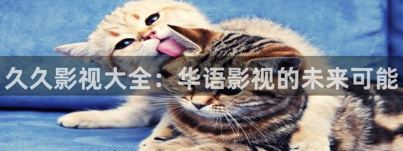 美国木瓜：久久影视大全：华语影视的未来可能