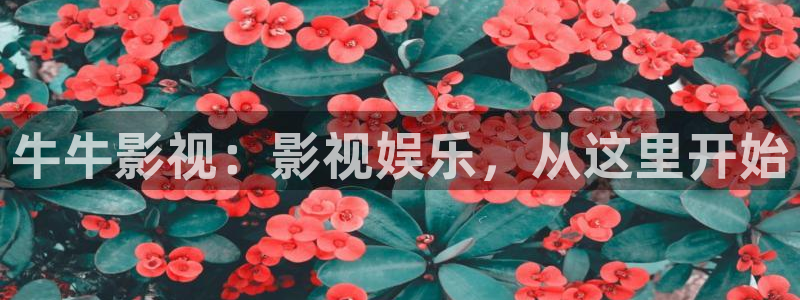 木瓜影视大全免费追剧：牛牛影视：影视娱乐，从这里开始