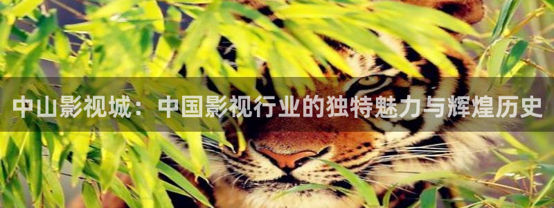 木瓜 影院：中山影视城：中国影视行业的独特魅力与辉煌历史