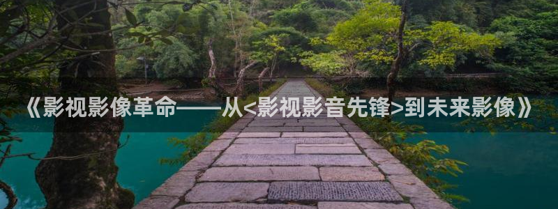 木瓜私人影院：《影视影像革命——从<影视影音先锋>到未来影像》