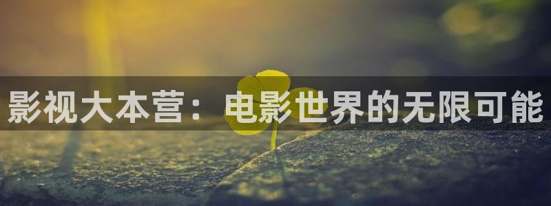 木瓜视频最好看的电影：影视大本营：电影世界的无限可能
