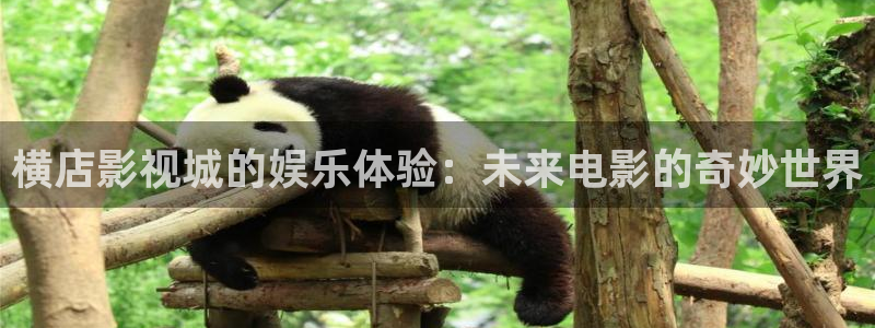 木瓜影院www：横店影视城的娱乐体验：未来电影的奇妙世界