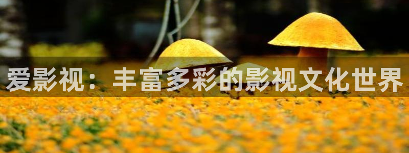 木瓜影院理论片：爱影视：丰富多彩的影视文化世界